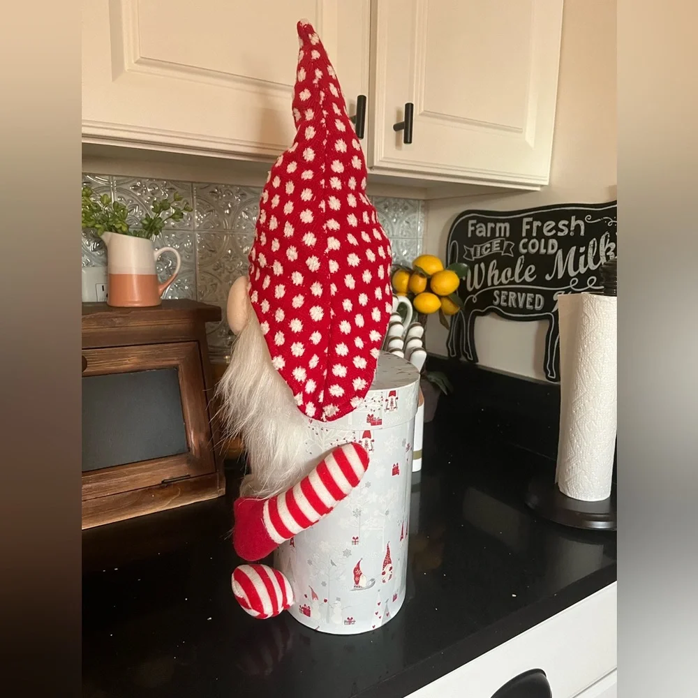 Large‎ winter gnome container